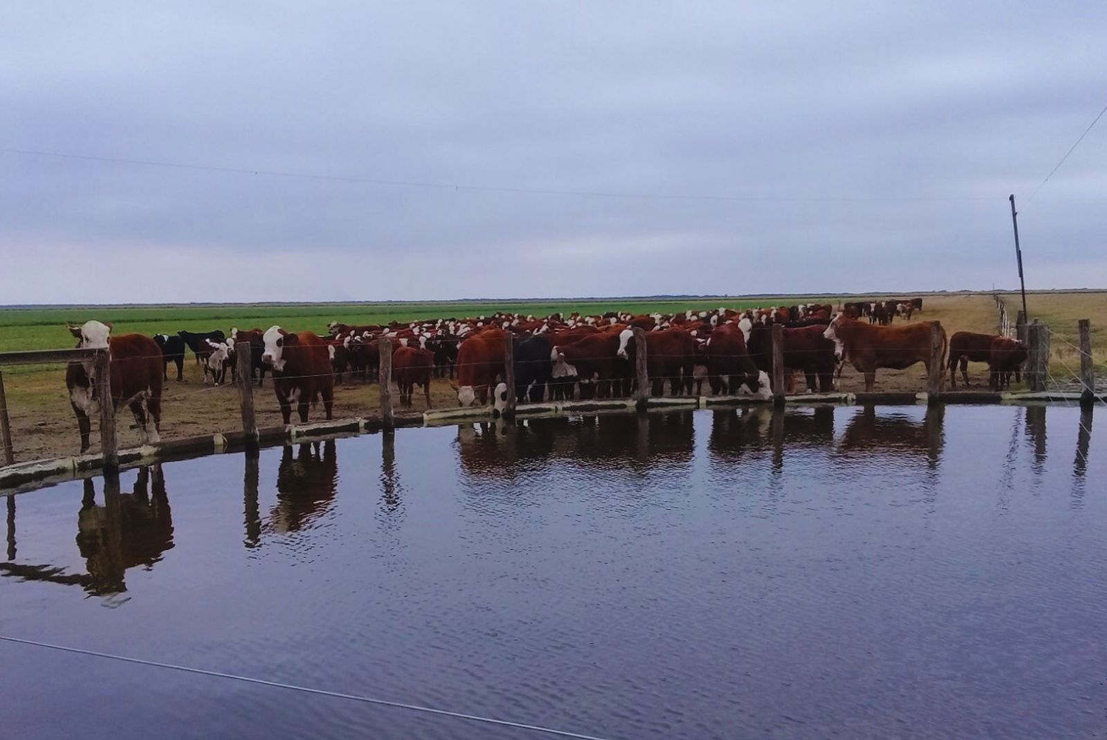 El costo de un campo mal diseñado no siempre se ve, pero se paga