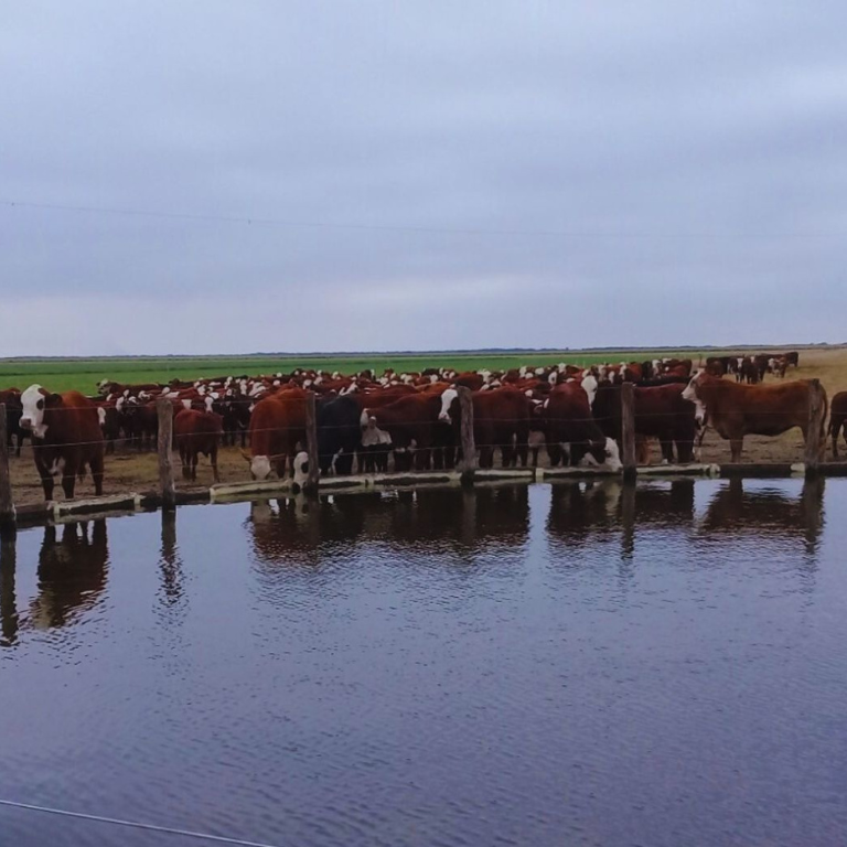 ¿Cuánta agua necesito almacenar para poder dormir tranquilo?