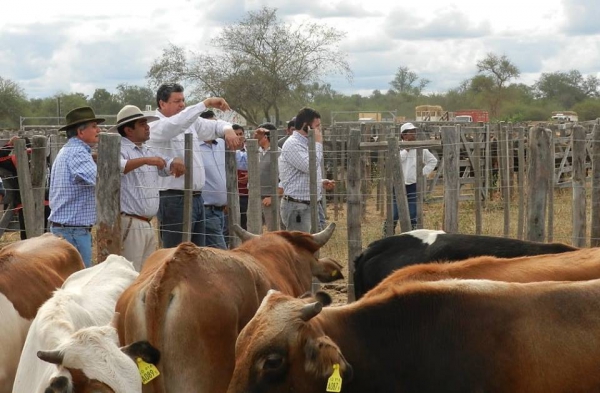 invertir en ganaderia