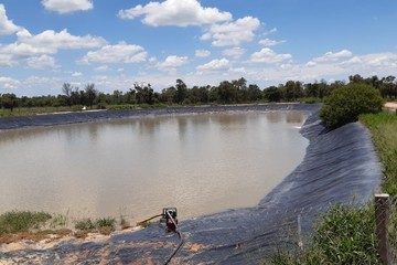 junta segura ganaderia agua